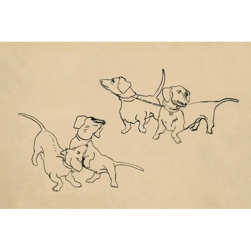 Dachshunds