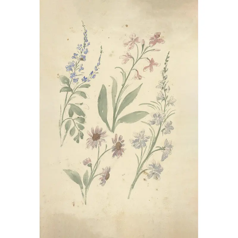 Floral Sketch I