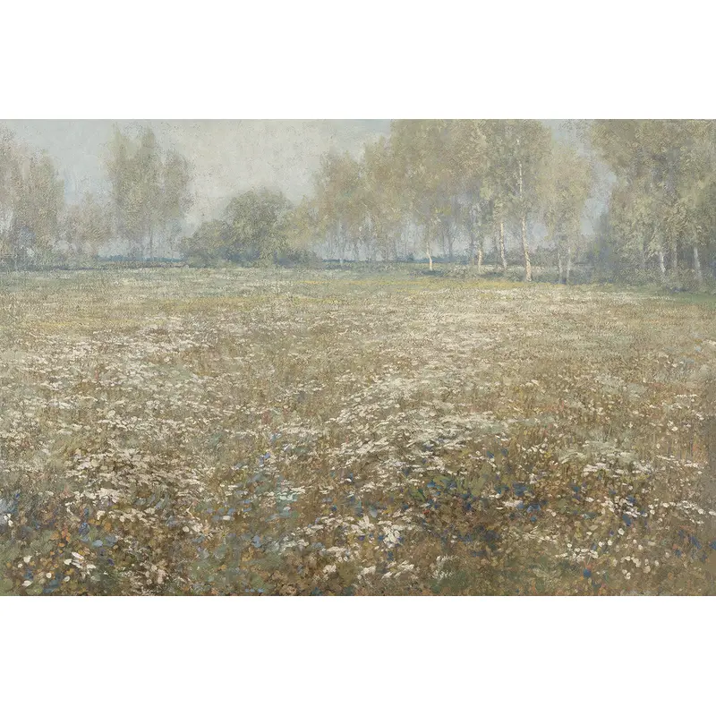 Meadow In Bloom