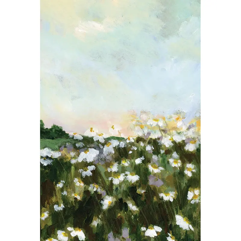 Field of Daisies