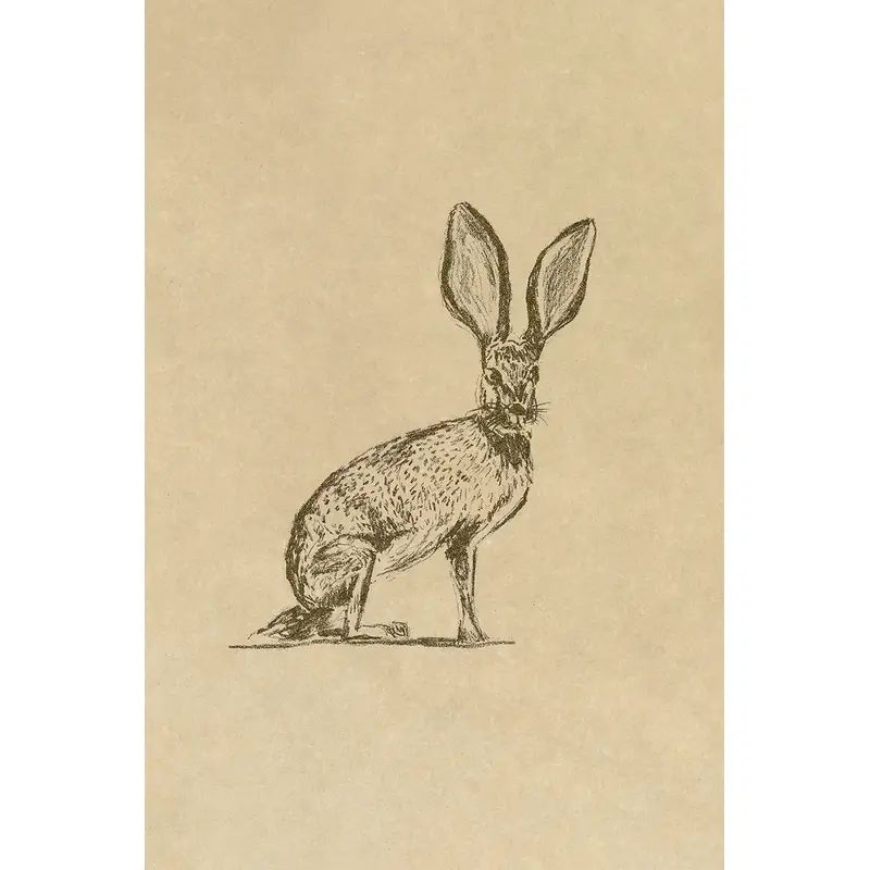 Hare