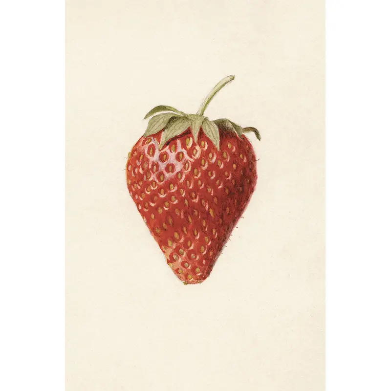 Strawberry