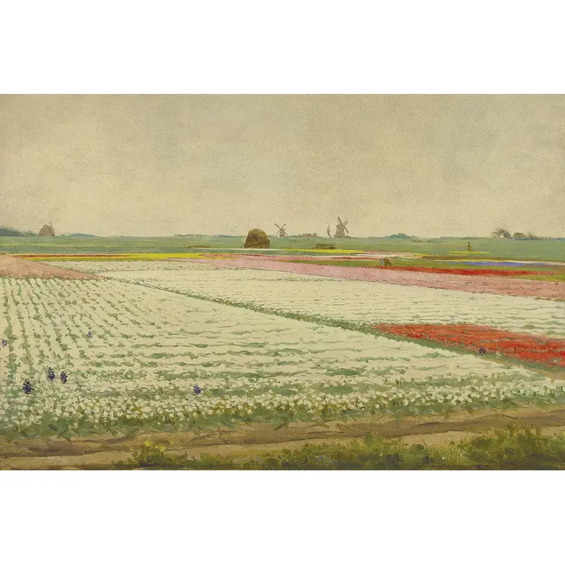 Tulip Fields