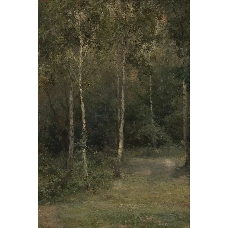 Birch Forest