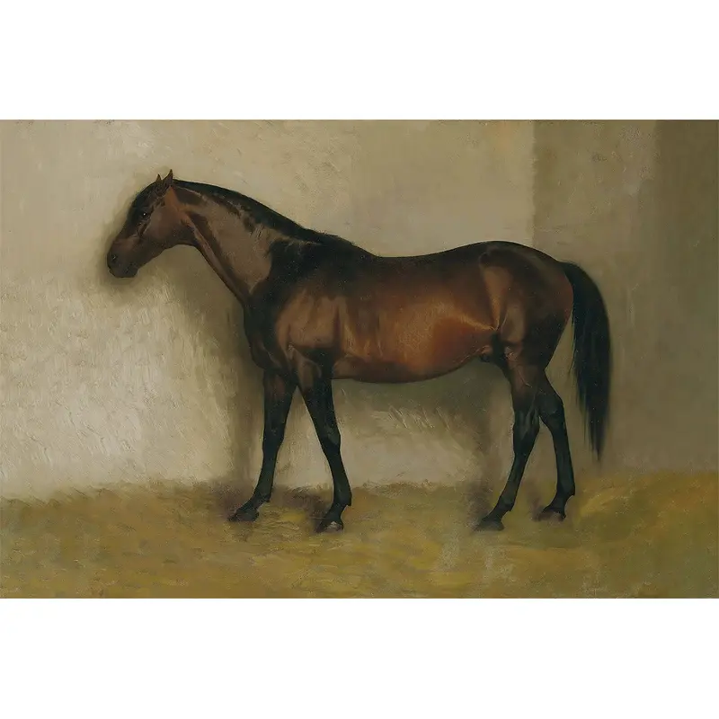 Racehorse