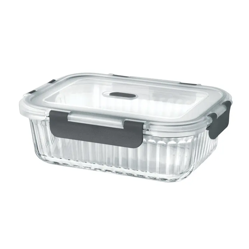 Borosilicate Clip Fresh Rib Rectangular Container (Treo by Milton)
