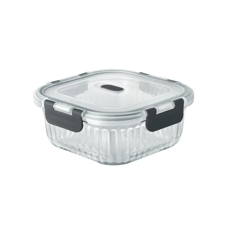 Borosilicate Clip Fresh Rib Square Container (Treo by Milton)