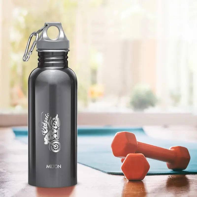Alive Stainless Steel Bottle (Milton)