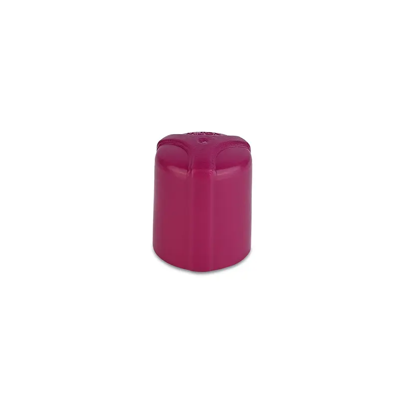 Spare Lid for Pacific Pet Bottle (Pink)
