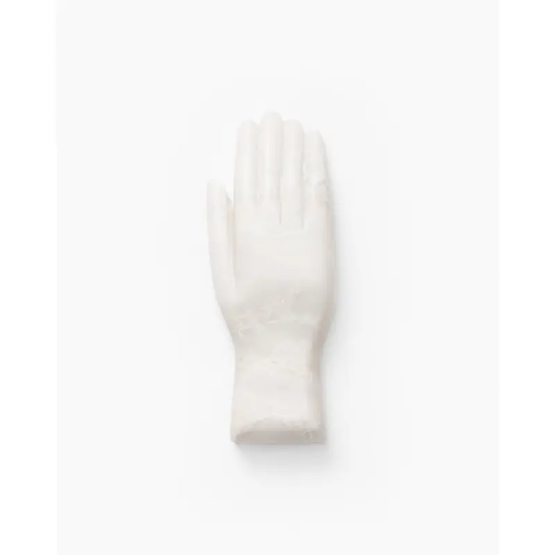 Lady Onyx Hand Object