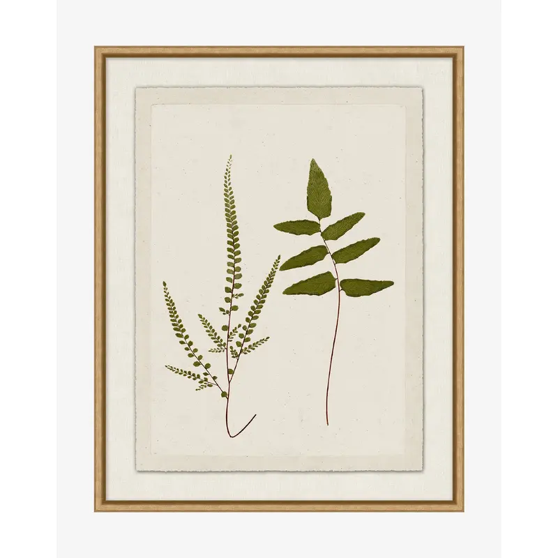 Botanical Pressings I