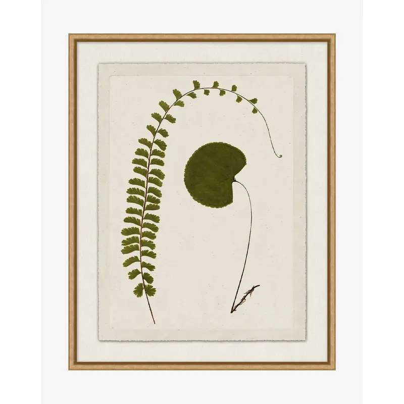 Botanical Pressings II