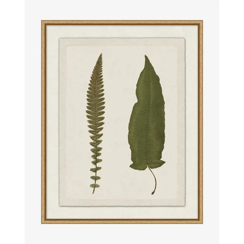 Botanical Pressings VII
