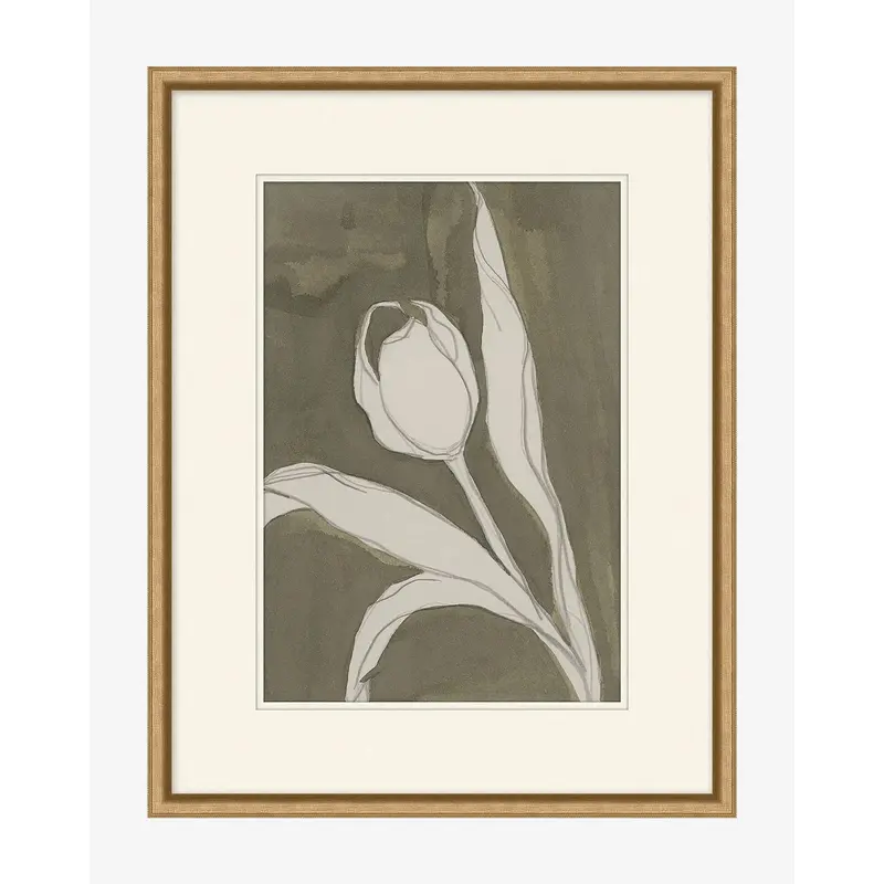 Delicate Tulip I by Rebekah Webb