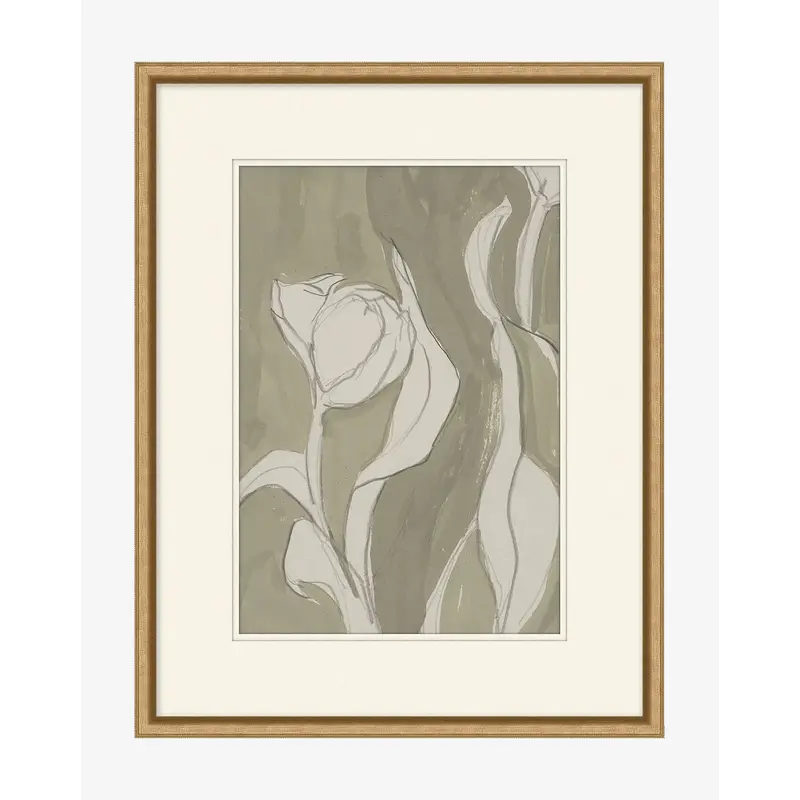 Delicate Tulip II by Rebekah Webb