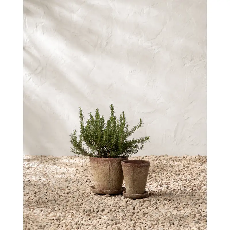 Oksana Distressed Cement Planter