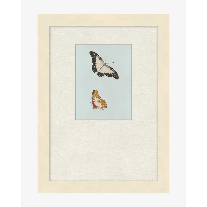 Butterflies Study II