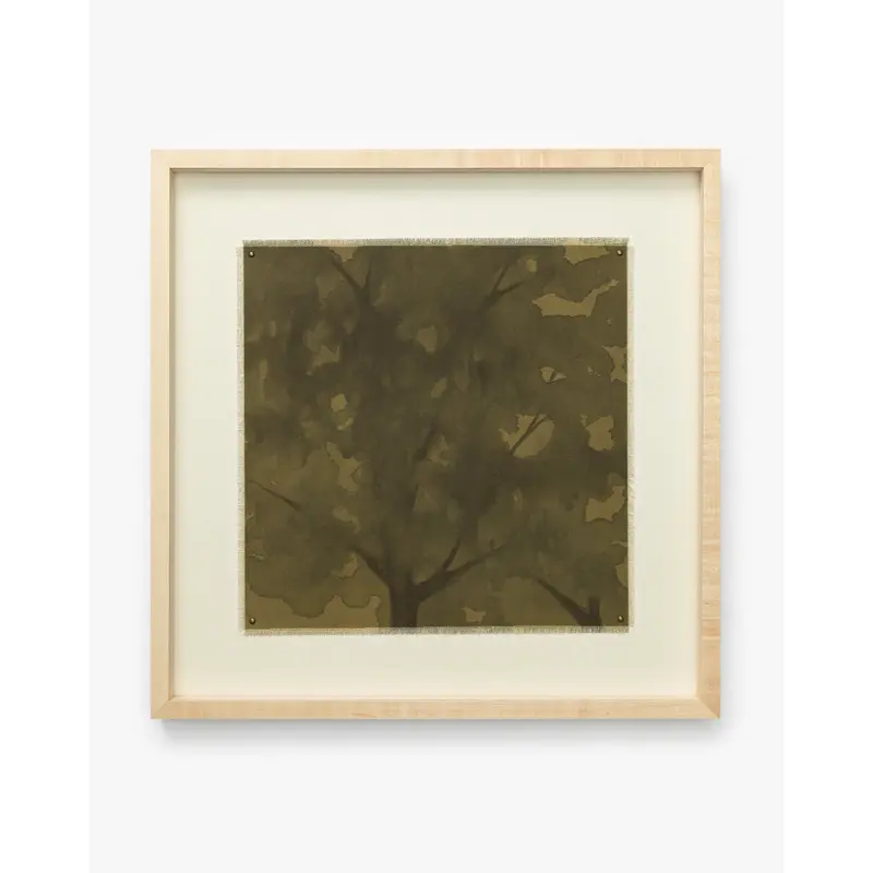 Viewpoint by Britney Schulz