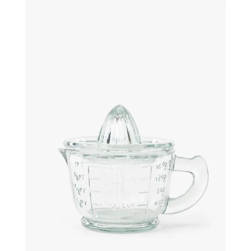 Glass Juicer with Measuring Cup