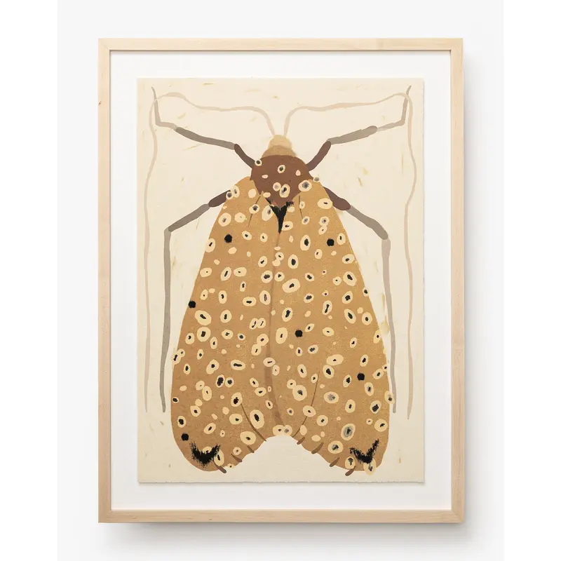 Moth IV By Coup d'Esprit