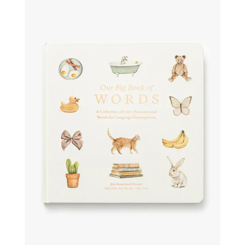 Our Big Book of First Words