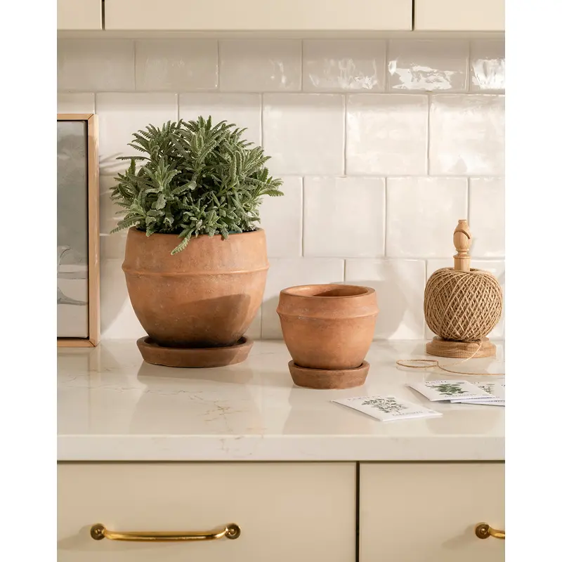 Vichy Terracotta Planter