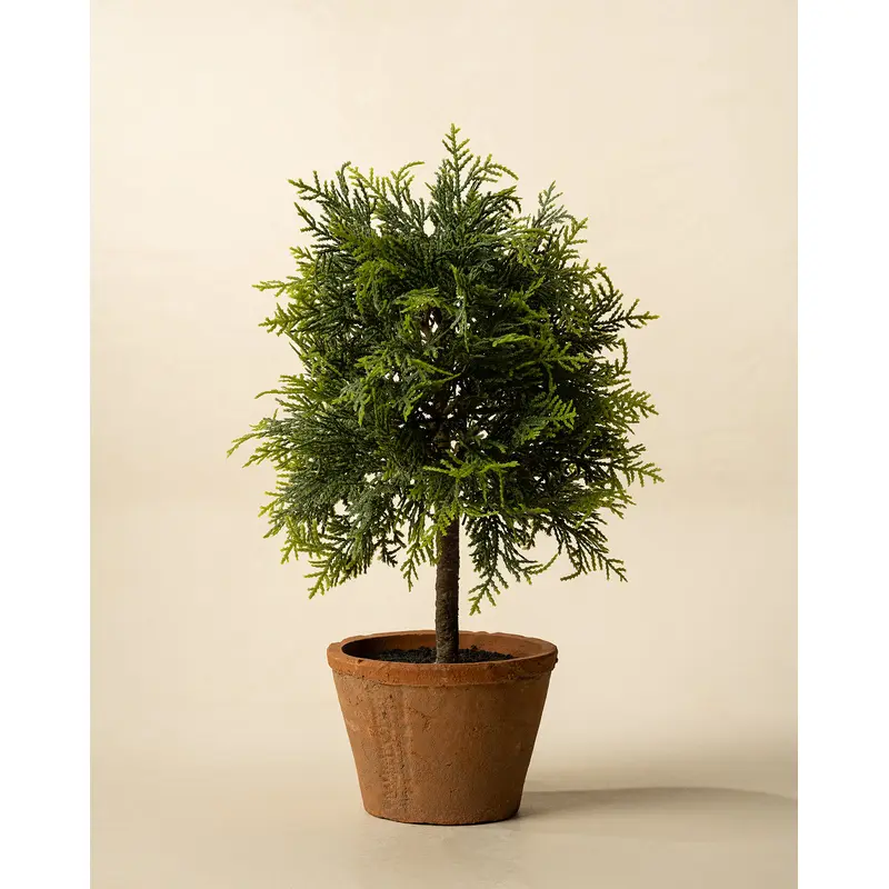 15.5" Cypress Faux Potted Topiary