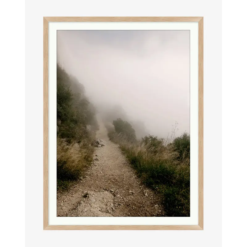 Foggy Path