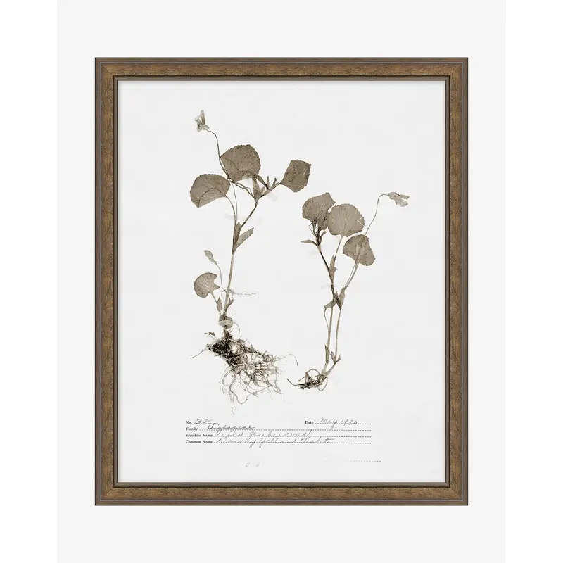 Subdued Botanicals II