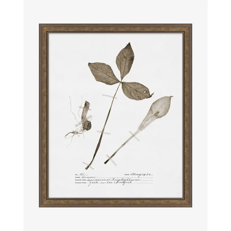 Subdued Botanicals III