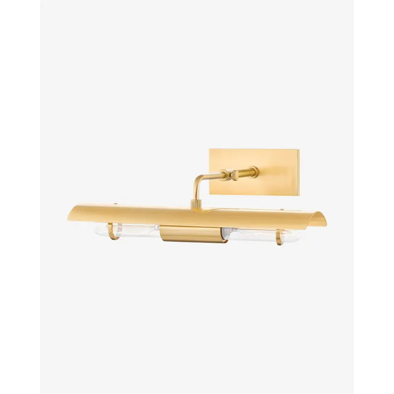 Raelynn Picture Light