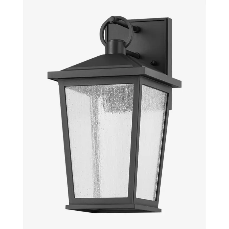 Soren Frosted Indoor/Outdoor Wall Sconce