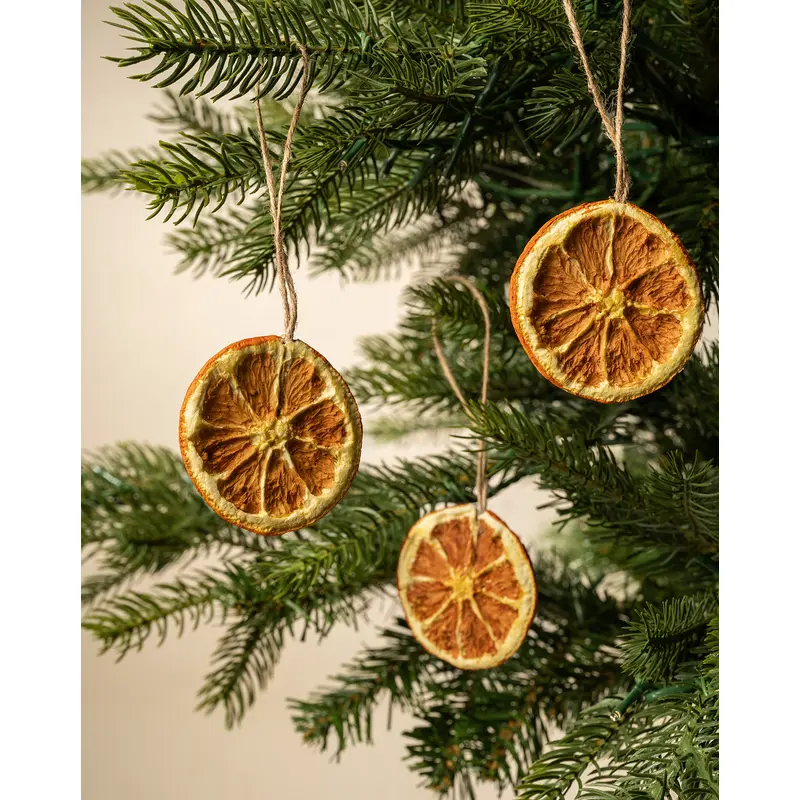 Dried & Boxed Orange Slices (Set of 12)