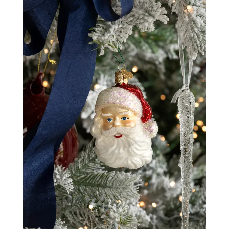 Santa Ornament