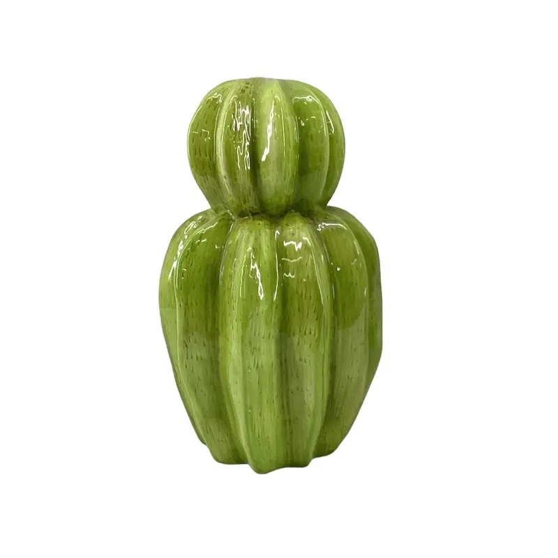 Home Decor Ceramic Cactus