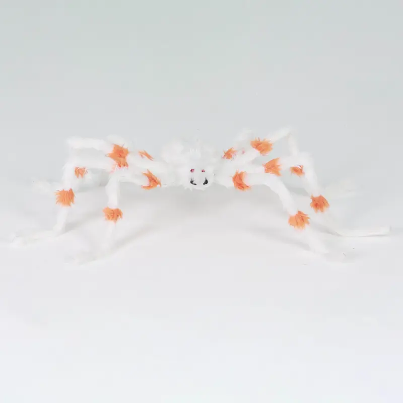 White and orange spider