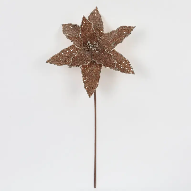 Brown poinsettia pick
