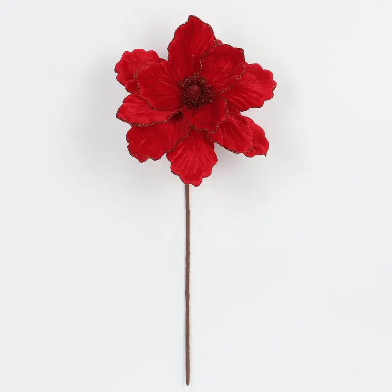 Red flower pick