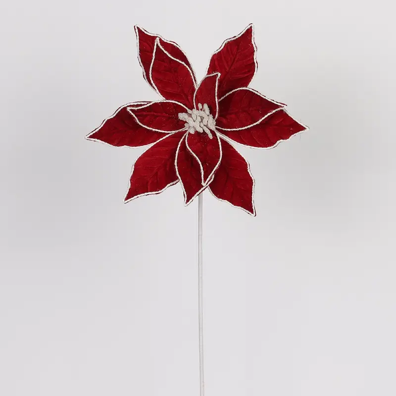 Red poinsettia with white edges pick