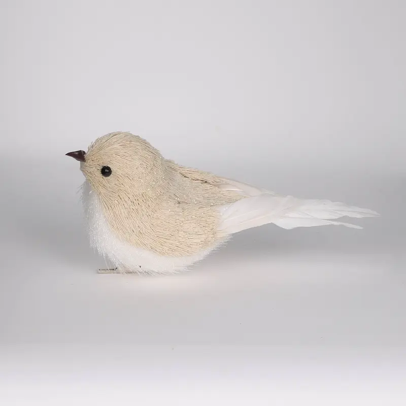 White and brown bird