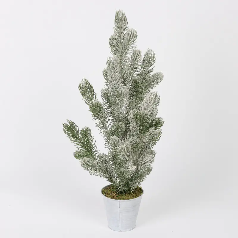 Frosted tabletop pine tree