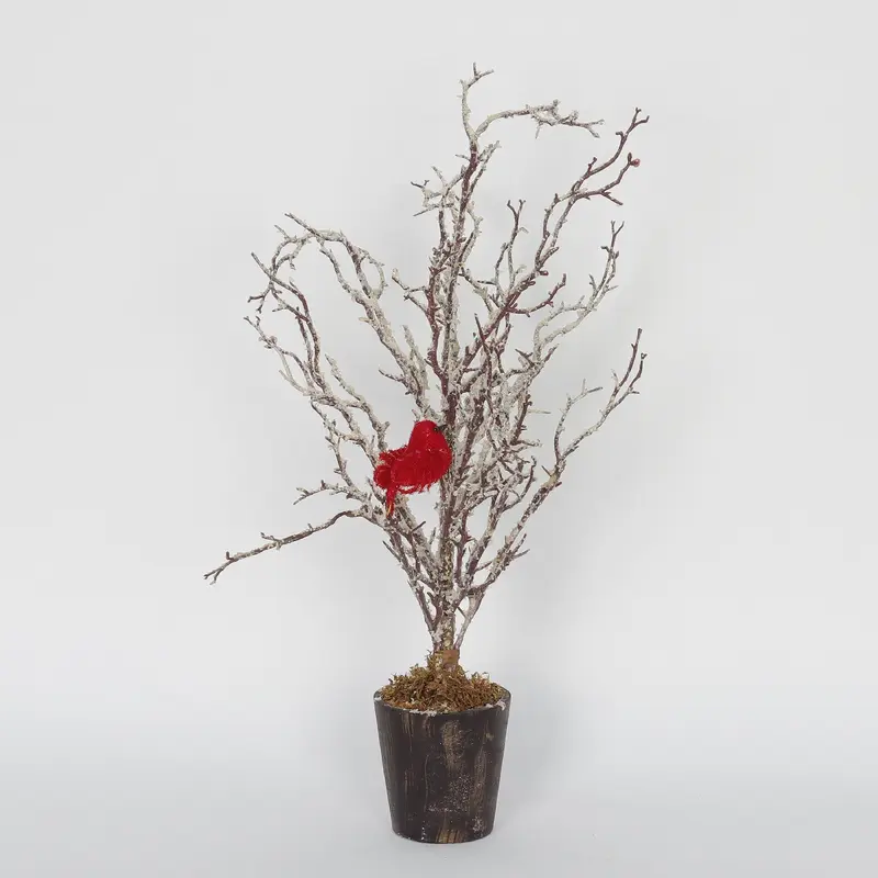 Frosted tree with cardinal bird