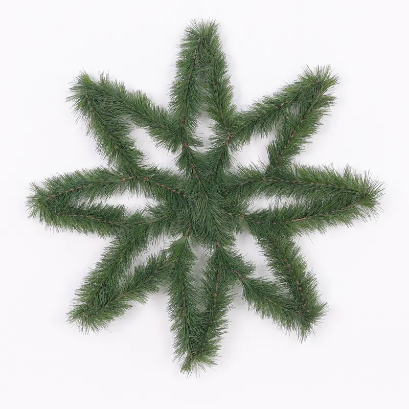 Pine tree 8 horn star