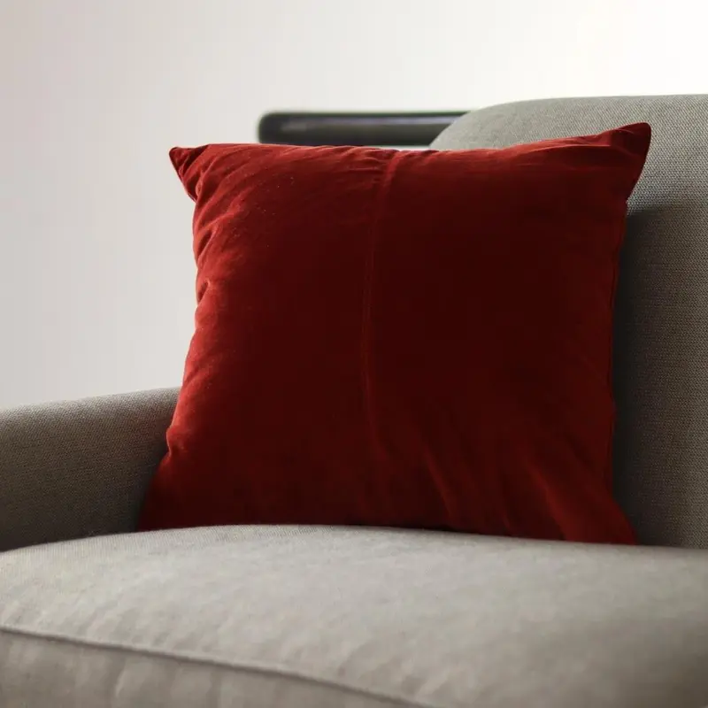 Velvet Base New Red Cushion