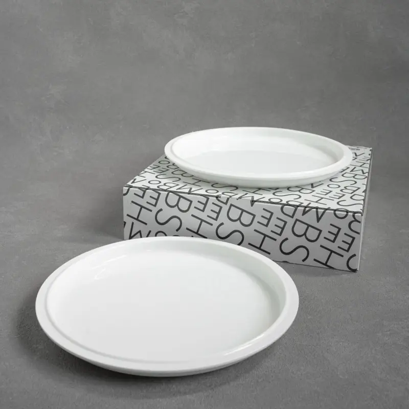 Tinge Porcelain Dinner Plate White Set of 2