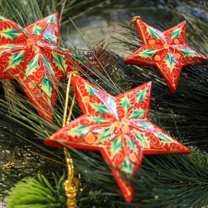 Star Raised Holly Red