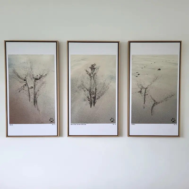 Limited Edition Prints by Kuro