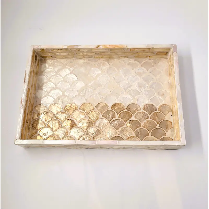 Mother of Pearl Tray Shell