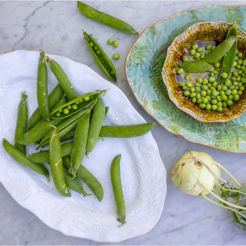 Small Oval Dish White