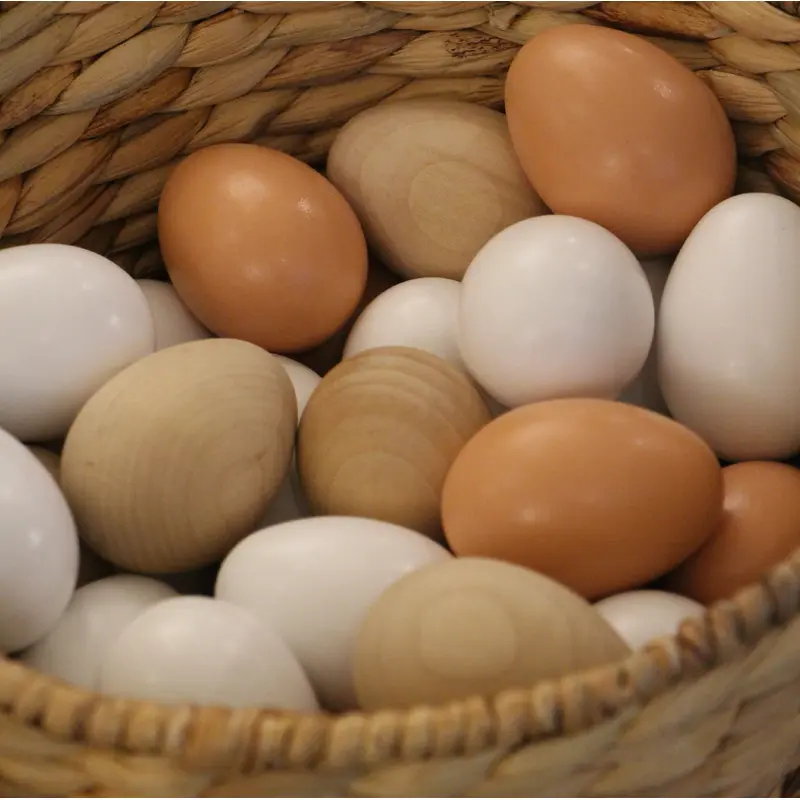 Wooden Egg Assorted